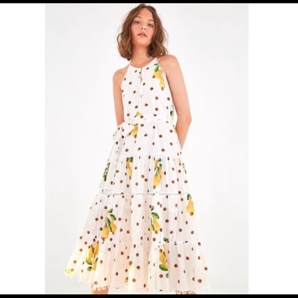 FARM Rio Dresses & Skirts - NWT Farm Rio cashew dot midi dress.